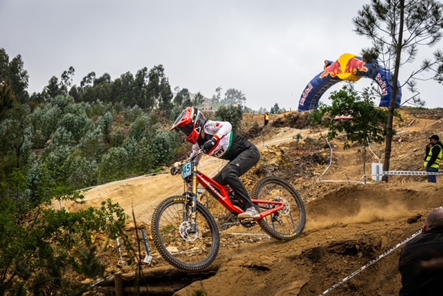 Tess downhill MTB photo 1