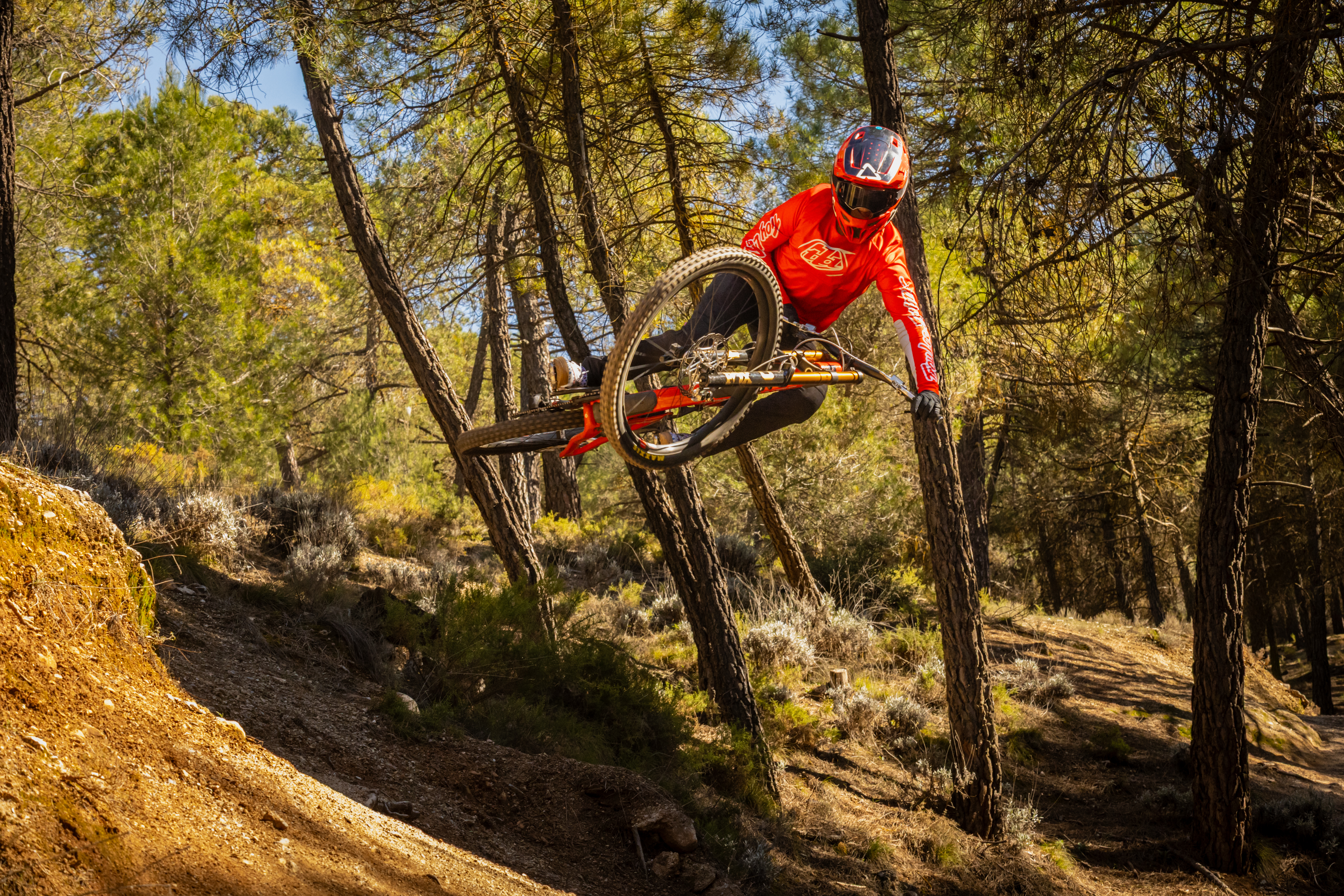 Tess downhill MTB photo 9